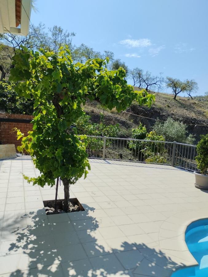 Villa Las Vinas Málaga Buitenkant foto